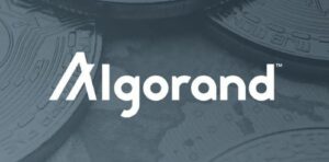 ارتفاع نشاط ALGO: كيف يمكن للمتداولين الاستفادة من زخم صعود Algorand؟