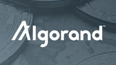 ارتفاع نشاط ALGO: كيف يمكن للمتداولين الاستفادة من زخم صعود Algorand؟