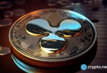 إليك سبب ارتفاع سعر XRP و3 أسباب لانخفاضه قريباً - اكتشف التفاصيل!