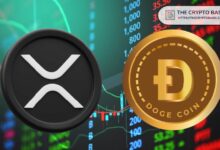 راؤول بال يتوقع صعود دوجكوين مثل XRP بعد اختراق النموذج، اكتشف المزيد!