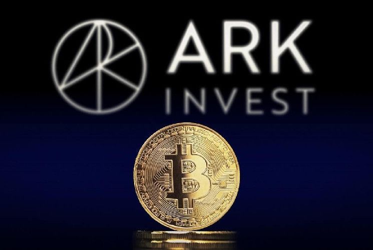 الرئيس التنفيذي لشركة ARK Invest كاثي وود تتحدث عن الرئيس الجديد للجنة الأوراق المالية! ما الذي قالته؟ اكتشف التفاصيل الآن!