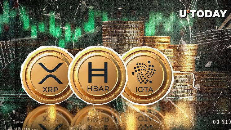 الفوضى في تصفية 500 مليون دولار: توجّه XRP وHBAR وIOTA كالفائزين الكبار - اكتشف التفاصيل الآن!