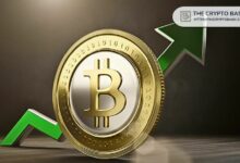 مدير صندوق الأسهم يقول: ترامب سيظهر كيف يمكن للبيتكوين دعم الريادة العالمية للولايات المتحدة - اكتشف المزيد!