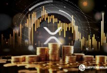 حجم تداول XRP على Upbit يصل إلى 3.69 مليار دولار، متفوقاً على أحجام BTC وETH - اكتشف المزيد الآن!