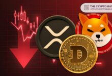 مع تراجع سوق العملات الرقمية، XRP، Shiba Inu و Dogecoin تواجه انتكاسات كبيرة - اكتشف التفاصيل الآن!