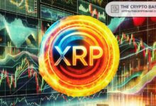 خبير السوق: إذا لم تستثمر في XRP، فأنت لا تحترم نفسك - اكتشف السبب!