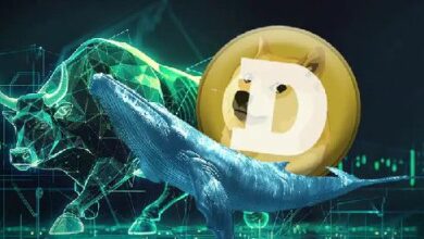 حيتان دوجكوين تشتري 160 مليون DOGE، هل يصل السعر إلى 1 دولار قريباً؟ اكتشف الآن!