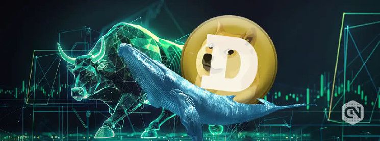 حيتان دوجكوين تشتري 160 مليون DOGE، هل يصل السعر إلى 1 دولار قريباً؟ اكتشف الآن!