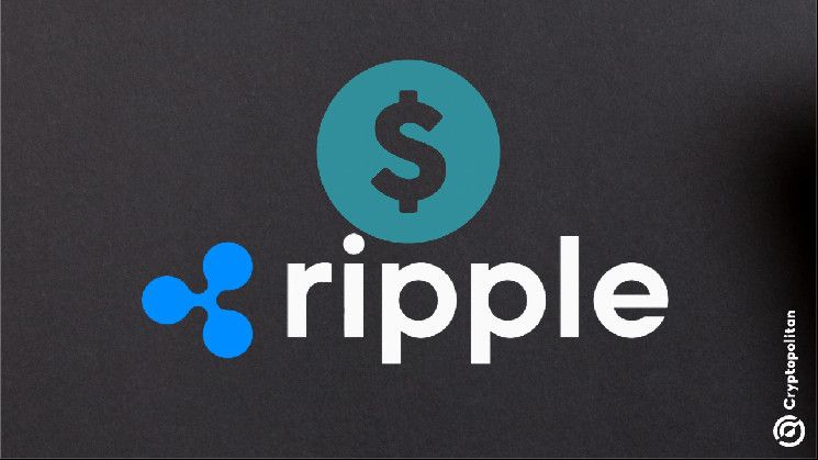 تحركات شرائية متفائلة من حيتان XRP قبيل إطلاق RLUSD - اكتشف التفاصيل الآن!