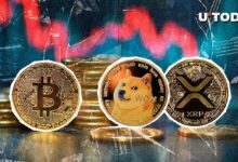 BTC، وDOGE وXRP في دائرة الضوء مع تراجع تصفية العملات الرقمية إلى 240 مليون دولار - اكتشف التفاصيل!