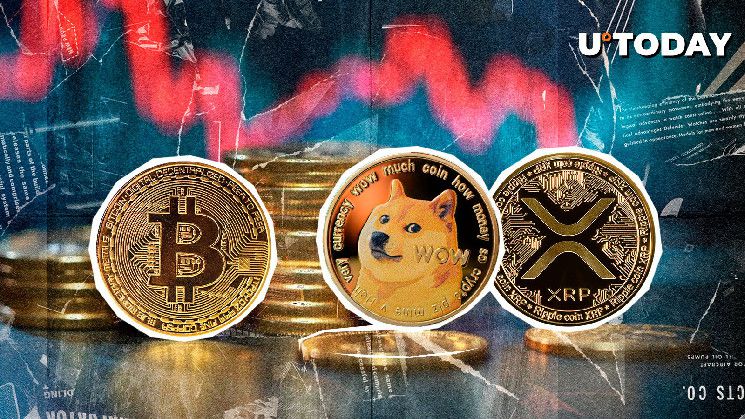 BTC، وDOGE وXRP في دائرة الضوء مع تراجع تصفية العملات الرقمية إلى 240 مليون دولار - اكتشف التفاصيل!