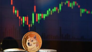 تحطم سعر دوجكوين - هل سيهبط DOGE لأقل من $0.30 قريبًا؟ - اكتشف الآن!