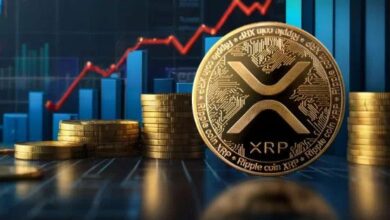 محلل يكشف عن سبعة أحداث رئيسية يجب على المستثمرين مراقبتها قبل بيع XRP! اكتشف التفاصيل الآن!