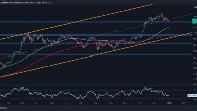 تحليل سعر البيتكوين: هل ينخفض BTC إلى 81 ألف دولار إذا اخترق مستوى الدعم هذا؟ اكتشف الآن!