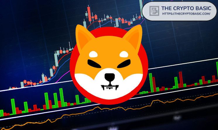 تعرّف على انضمام 7,548 محفظة جديدة إلى شيبا اينو بعد صعود سعر SHIB بنسبة 72%!