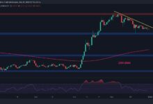 تحليل سعر كاردانو: هل يستعد ADA لجولة جديدة نحو $1.3؟ اكتشف الآن!