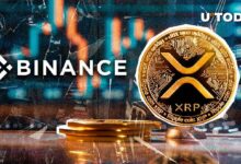 ظهور 69,300,000 XRP في بينانس، اكتشف ما يحدث الآن