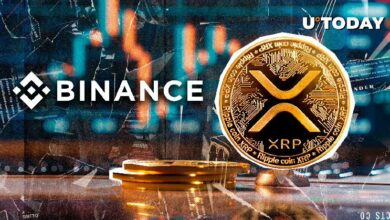 ظهور 69,300,000 XRP في بينانس، اكتشف ما يحدث الآن