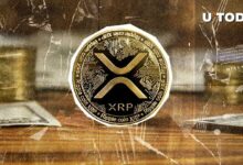 لا يوجد تقريباً أي مستثمرين جدد في عملة XRP: اكتشف التفاصيل