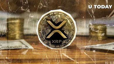 لا يوجد تقريباً أي مستثمرين جدد في عملة XRP: اكتشف التفاصيل