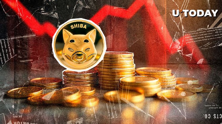 شيبا إينو (SHIB) على حافة كروس الموت: تعرف على السيناريوهات المحتملة الآن