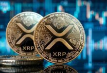 XRP ما زال في الصدارة رغم انخفاض السعر! يتفوق على بيتكوين وإيثريوم! - تنبؤ مذهل من مُحلل... تعرف عليه الآن!