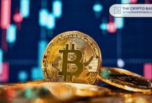 خبير: البيتكوين هو أفضل استثمار قد تراه - احذر من استخدام الرافعة المالية!