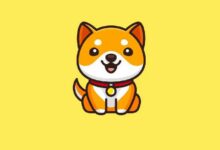 منصة Puppy.Fun تنطلق لتعزيز نظام BabyDoge البيئي هذا الأسبوع - اكتشف التفاصيل!