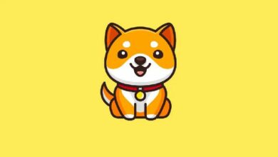 منصة Puppy.Fun تنطلق لتعزيز نظام BabyDoge البيئي هذا الأسبوع - اكتشف التفاصيل!