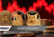 بيتكوين (BTC): استهداف $100,000 لم يُنسَ، دوجكوين (DOGE) يتراجع، انهيار كارثي لشيبا إينو (SHIB): ما الخطوة التالية؟