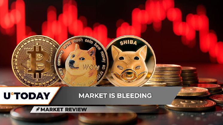 بيتكوين (BTC): استهداف $100,000 لم يُنسَ، دوجكوين (DOGE) يتراجع، انهيار كارثي لشيبا إينو (SHIB): ما الخطوة التالية؟