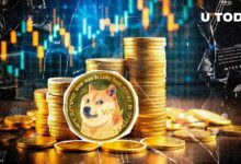 اكتشف كيف تجاوزت دوجكوين (DOGE) حاجز المليار دولار منذ سبع سنوات!