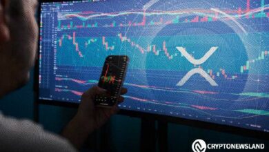 فهم اتجاهات XRP التاريخية: اكتشف ماذا يكشف دورة الـ 365 يومًا الآن!