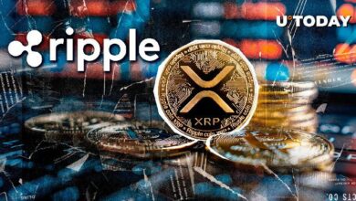 ريبل تقوم بتحويل غامض لـ 90 مليون XRP: اكتشف ما يجري الآن!