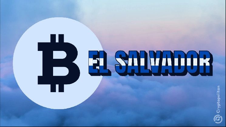 السلفادور تواصل شراء بيتكوين يومياً - اكتشف أرباح نجيب بوكيلي الآن!