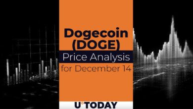 توقعات سعر DOGE ليوم 14 ديسمبر - اكتشف الآن!