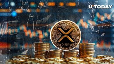 الحيتان تستثمر 100 مليون دولار في XRP - اكتشف الفرص الآن!