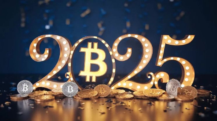 7 خبراء يكشفون توقعاتهم لسوق العملات الرقمية في 2025 - اكتشف ما ينتظرنا!