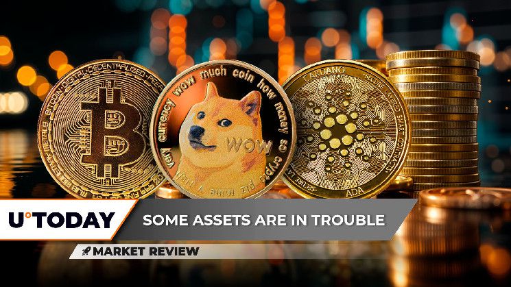 بيتكوين (BTC) تصل إلى 100,000 دولار: ما التالي؟ دوجكوين (DOGE) تفشل بشكل مزرٍ، هل كاردانو (ADA) مستعدة للهيمنة؟ اكتشف الآن!
