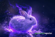 شراكة بين Rabbit وBEBE لدفع الابتكار في الذكاء الاصطناعي وGameFi والعملات الرقمية - اكتشف المزيد!