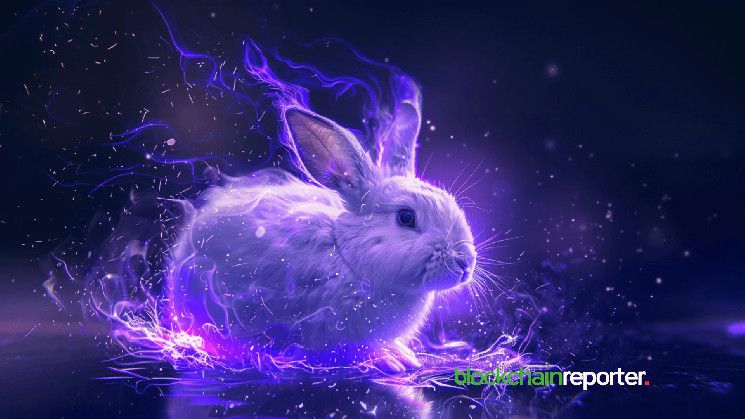 شراكة بين Rabbit وBEBE لدفع الابتكار في الذكاء الاصطناعي وGameFi والعملات الرقمية - اكتشف المزيد!