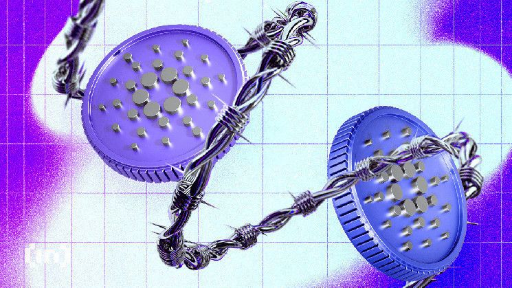 هبوط كاردانو (ADA) بنسبة 18% يثير القلق مع ضعف نشاط الشبكة - اكتشف المزيد!