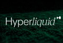 إطلاق مشروع Hyperliquid (HYPE) الأعلى قيمة للسوق المتوقع في 2024 - اكتشف المزيد!