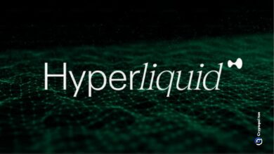 إطلاق مشروع Hyperliquid (HYPE) الأعلى قيمة للسوق المتوقع في 2024 - اكتشف المزيد!