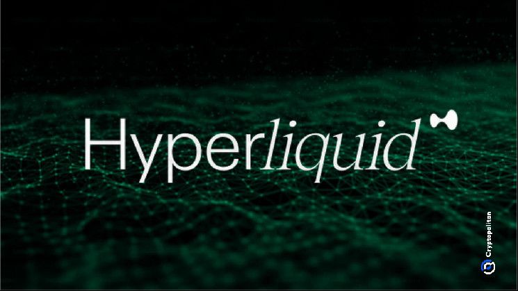 إطلاق مشروع Hyperliquid (HYPE) الأعلى قيمة للسوق المتوقع في 2024 - اكتشف المزيد!