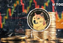 انطلاق دوجكوين (DOGE) بقوة: زيادة غير مسبوقة بنسبة 1,209٪ في عمليات التصفية - اكتشف التفاصيل الآن!