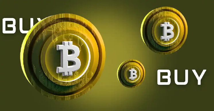 هل تستثمر في البيتكوين؟ الحيتان تضيف 7.3 مليار دولار من BTC