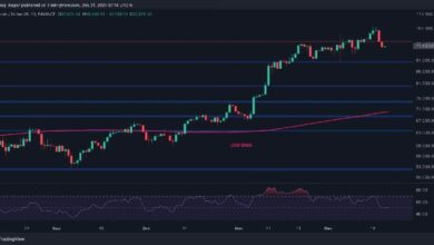 تحليل سعر البيتكوين: هل يواجه BTC خطر الانخفاض إلى 80,000 دولار قريباً؟ اكتشف التفاصيل!