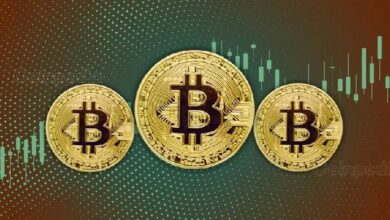 مختبرات نانو تعزز حيازتها من البيتكوين إلى 360 BTC بقيمة 36.22 مليون دولار - اكتشف التفاصيل الآن!