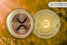 مؤشر حيوي يؤكد: سوق صعود XRP وDogecoin لازال في بدايته رغم تراجع العملات المشفرة هذا الأسبوع - اكتشف المزيد!